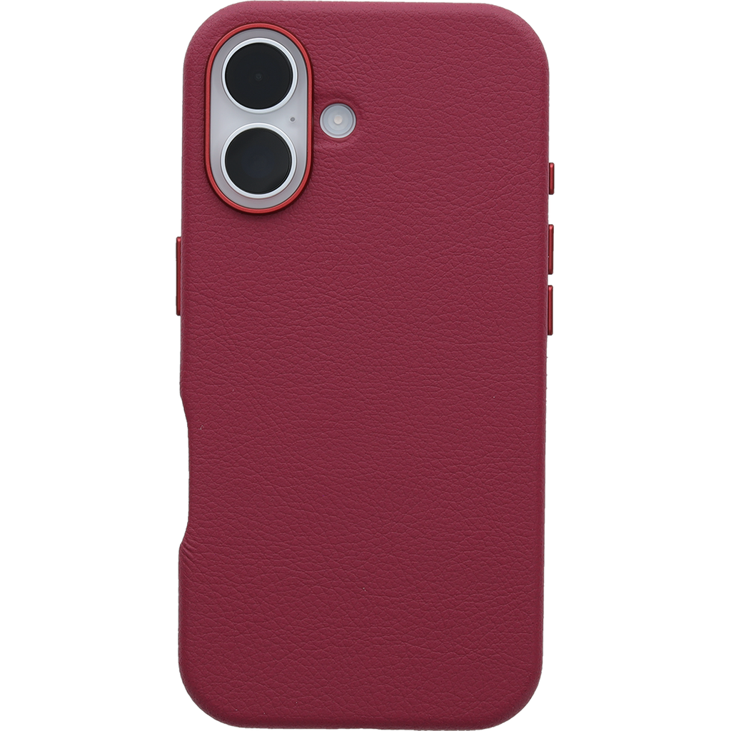 iPhone 16 Symmetry Series Cactus Leather for MagSafe Case
