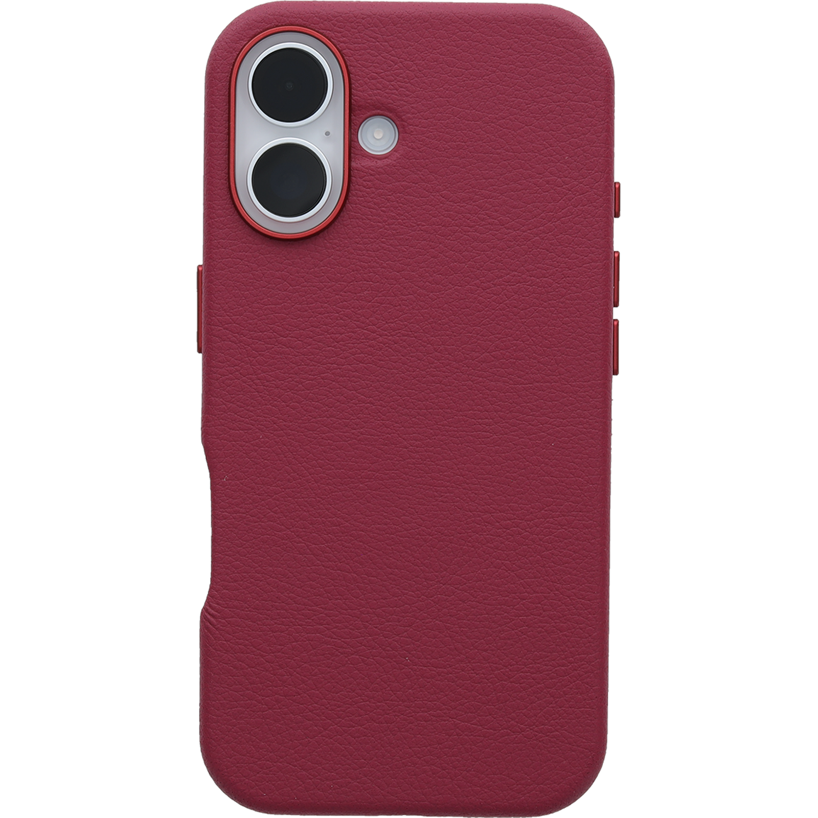 iPhone 16 Symmetry Series Cactus Leather for MagSafe Case