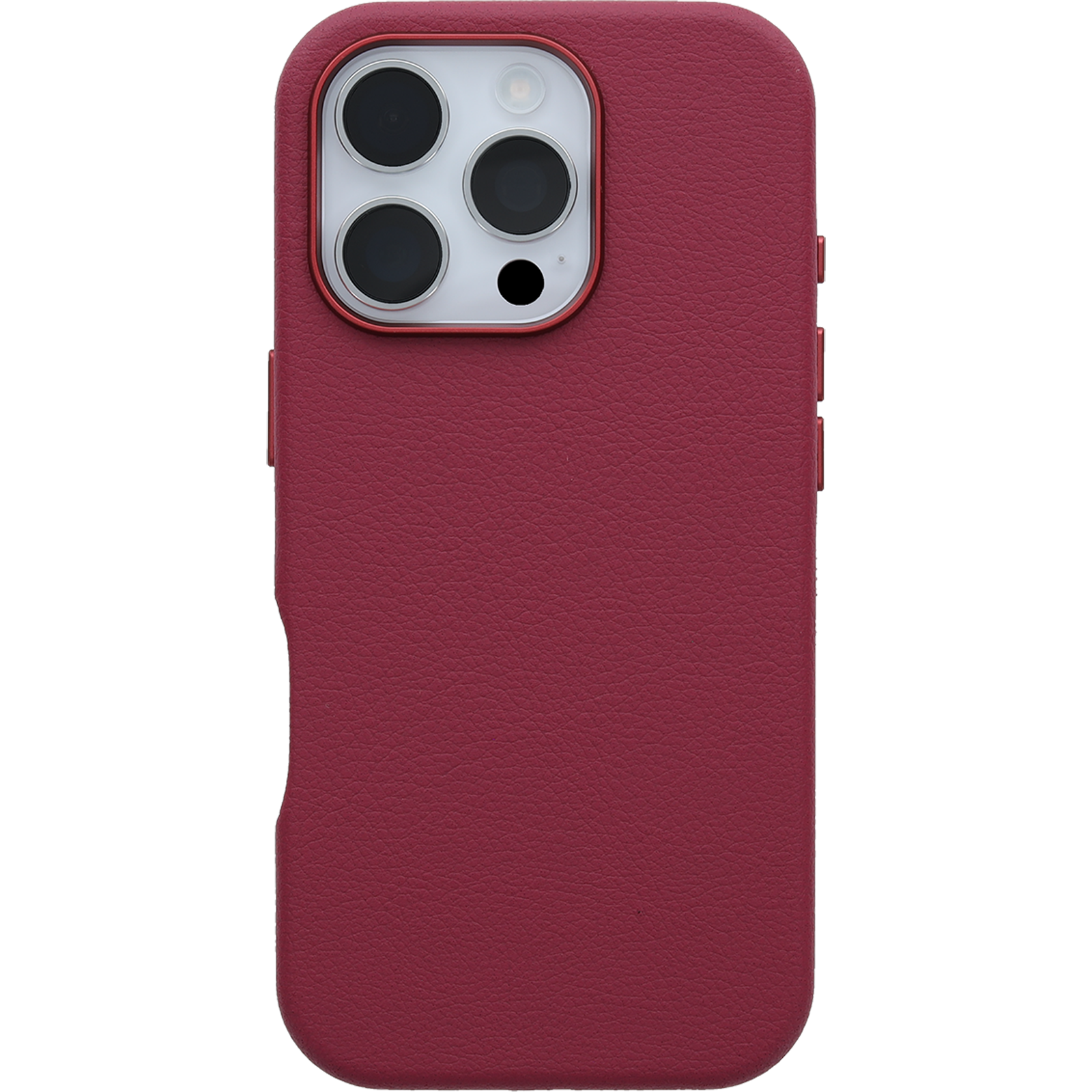 iPhone 16 Pro Symmetry Series Cactus Leather for MagSafe Case