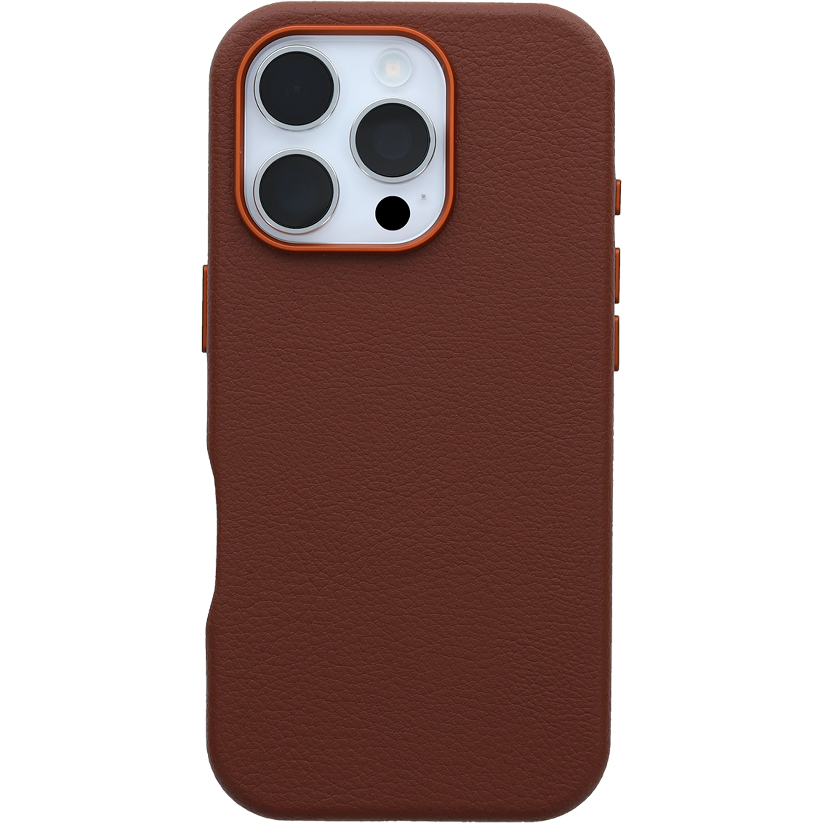 iPhone 16 Pro Symmetry Series Cactus Leather for MagSafe Case