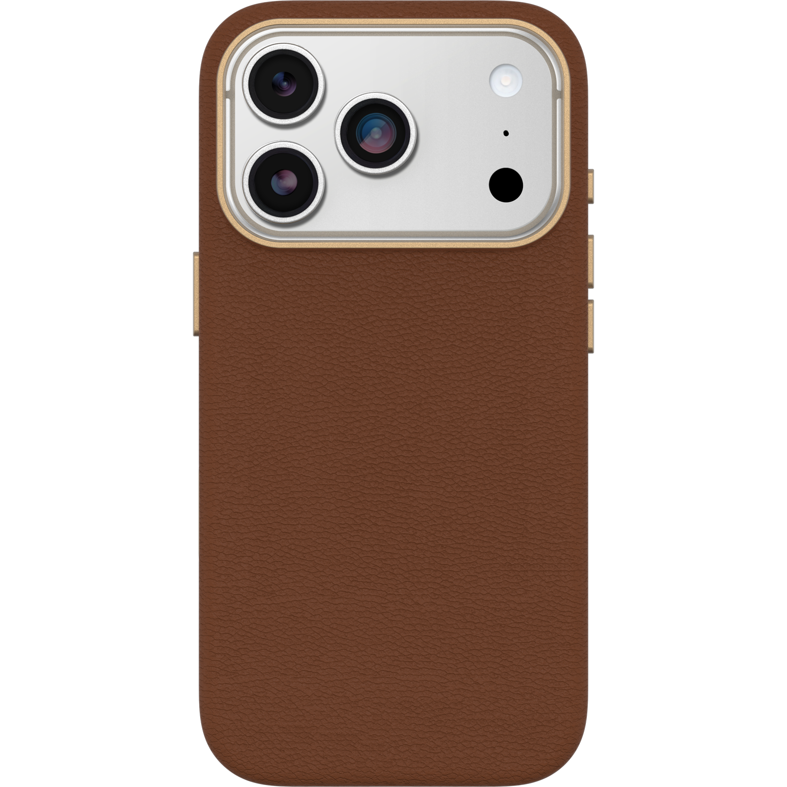 iPhone 17 Pro Symmetry Series Cactus Leather Case