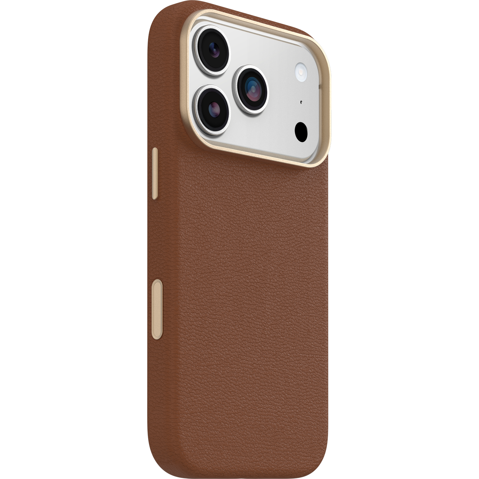 iPhone 17 Pro Symmetry Series Cactus Leather Case