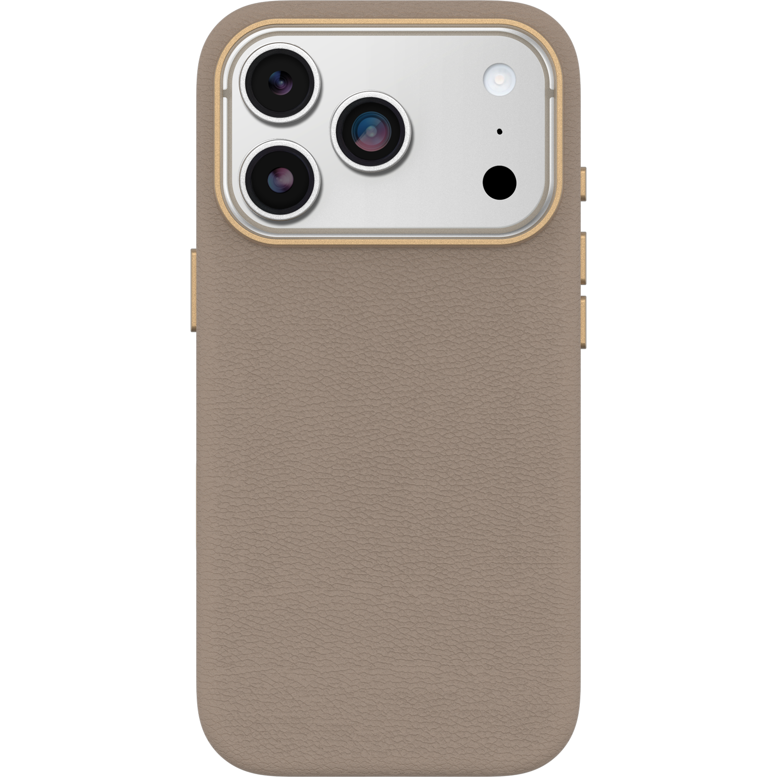 iPhone 17 Pro Symmetry Series Cactus Leather Case