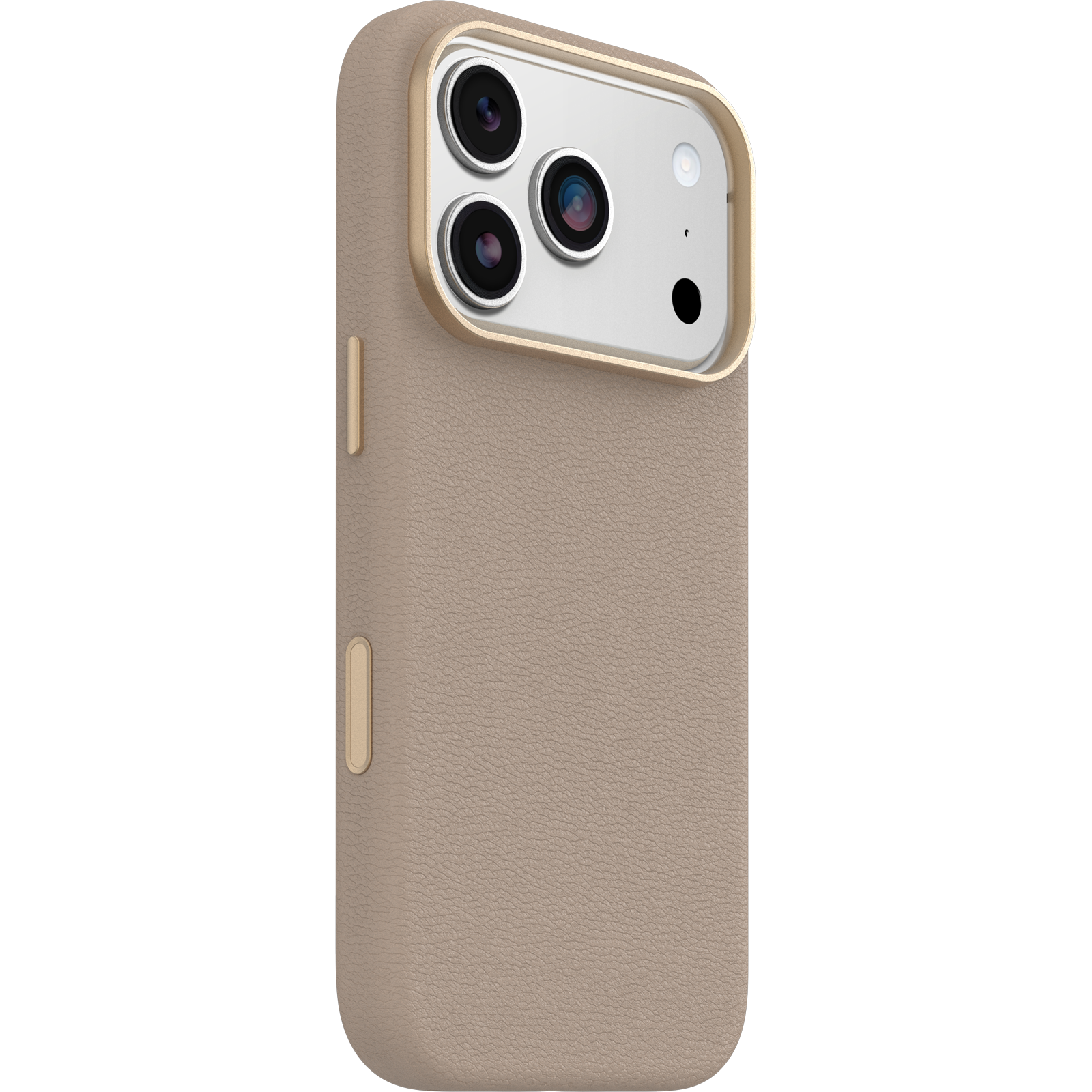 iPhone 17 Pro Symmetry Series Cactus Leather Case