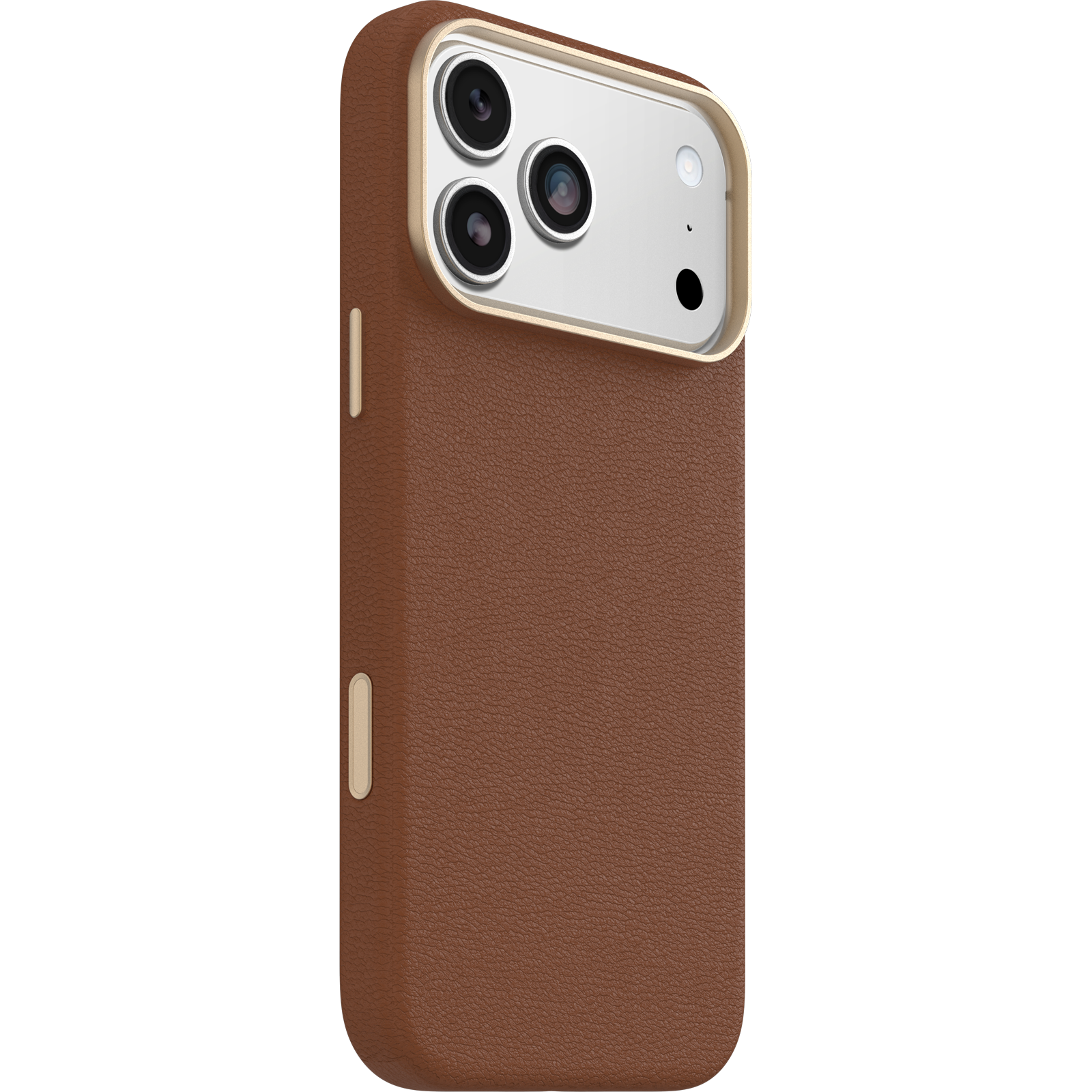 iPhone 17 Pro Max Symmetry Series Cactus Leather Case
