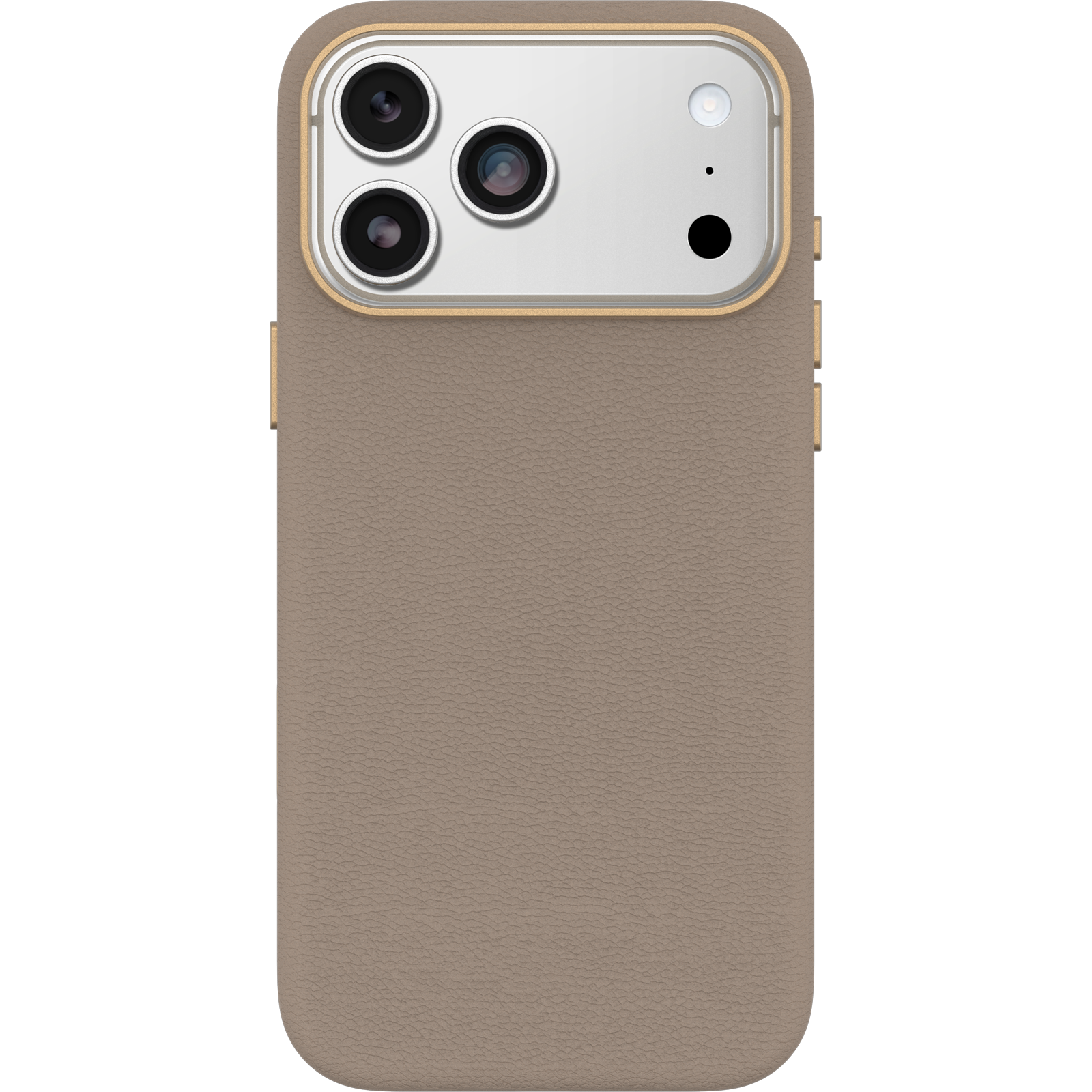 iPhone 17 Pro Max Symmetry Series Cactus Leather Case