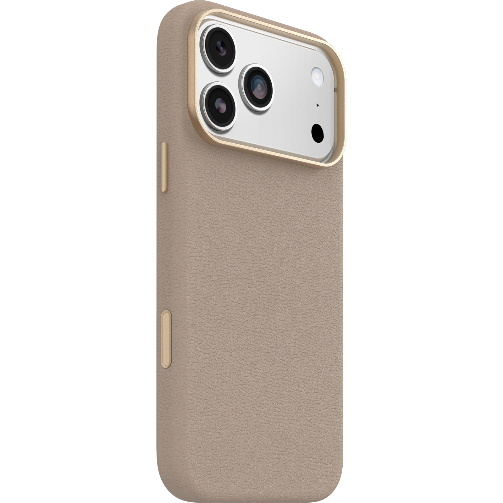 iPhone 17 Pro Max Symmetry Series Cactus Leather Case